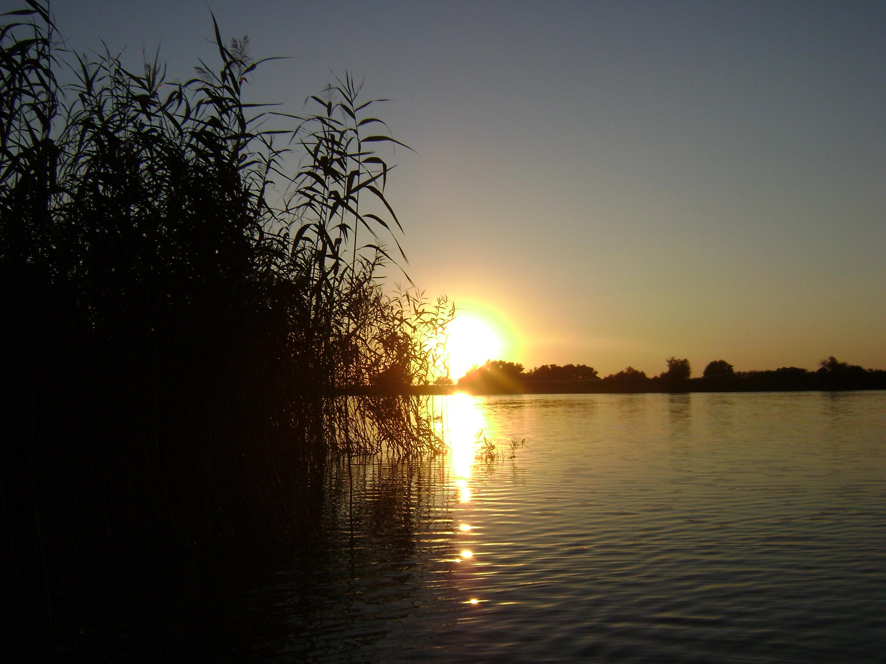 delta octombrie 2012 - CRISAN